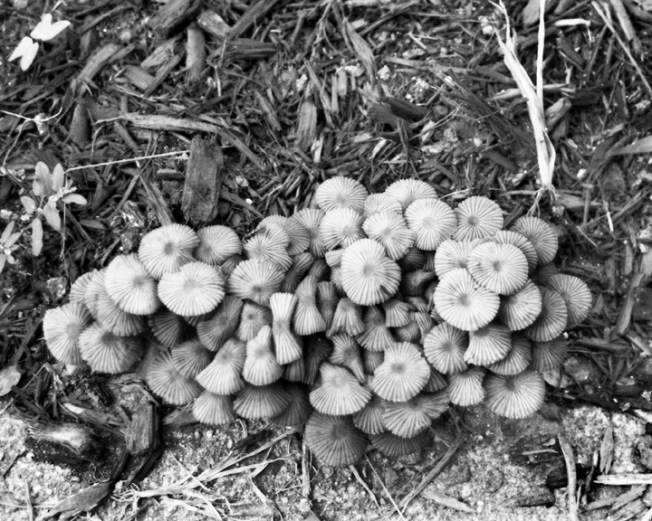 just the part you see